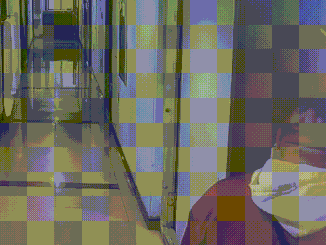 羽毛球